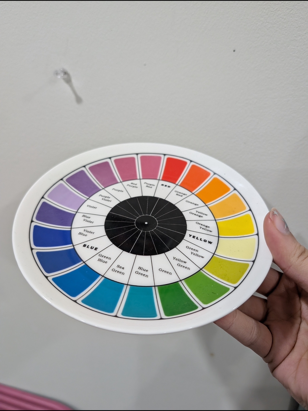 Color Wheel Jewelry Holder Plate - Multicolor